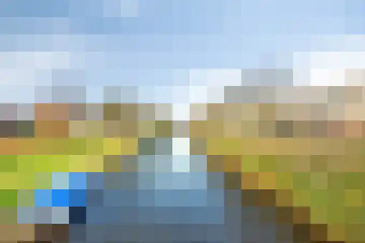 Walvisplein 94 K Almere thumbnail 45