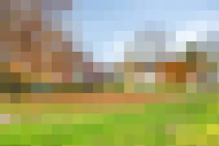 Walvisplein 94 K Almere thumbnail 46