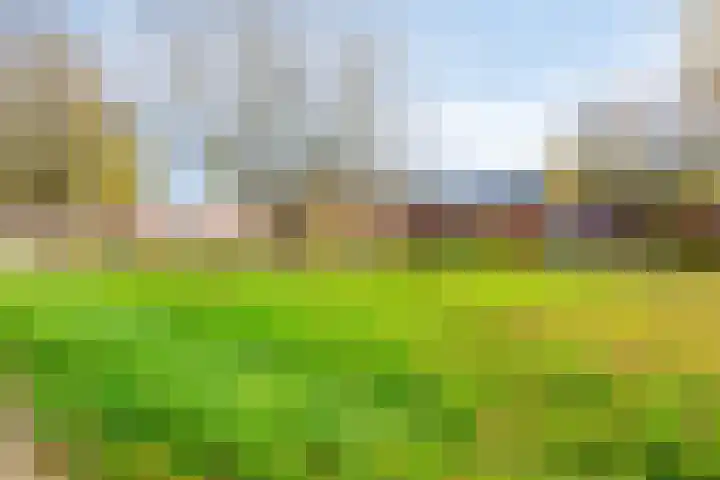 Walvisplein 94 K Almere thumbnail 47