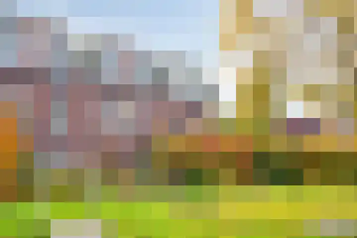 Walvisplein 94 K Almere thumbnail 49