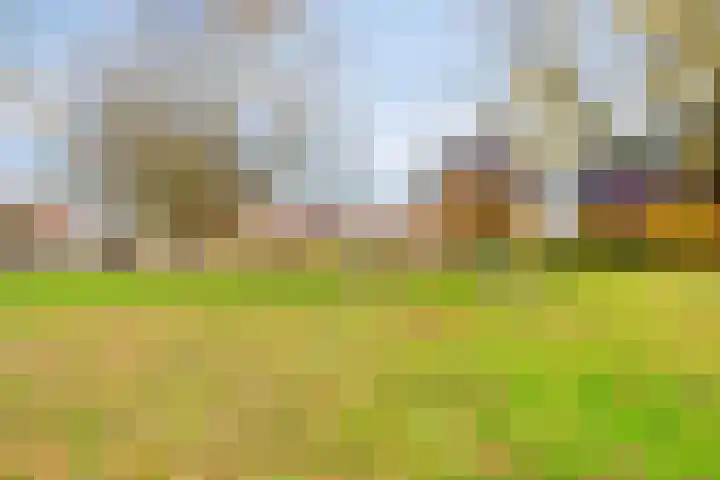 Walvisplein 94 K Almere thumbnail 50