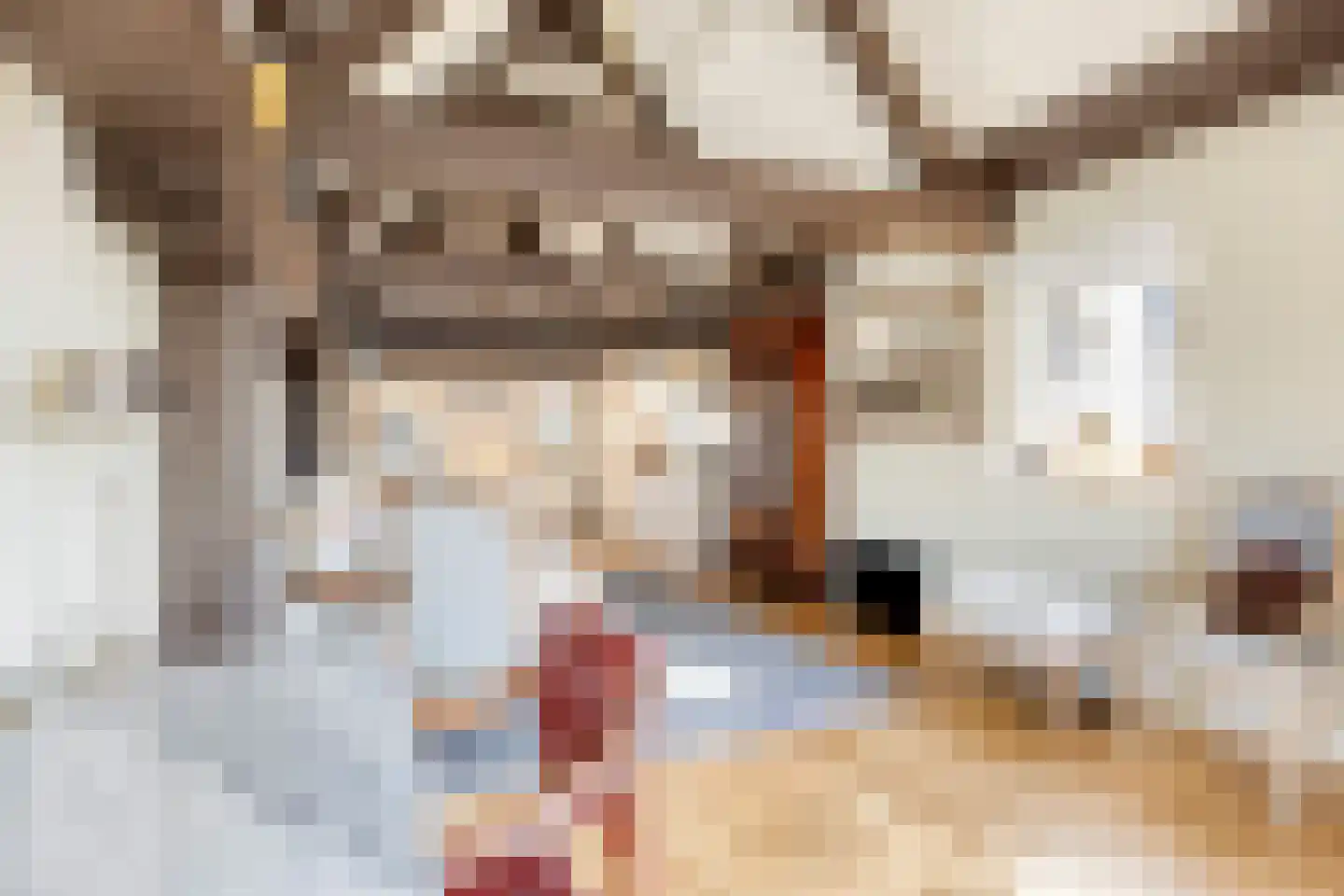 Walvisstraat 2 D Schiedam thumbnail 18