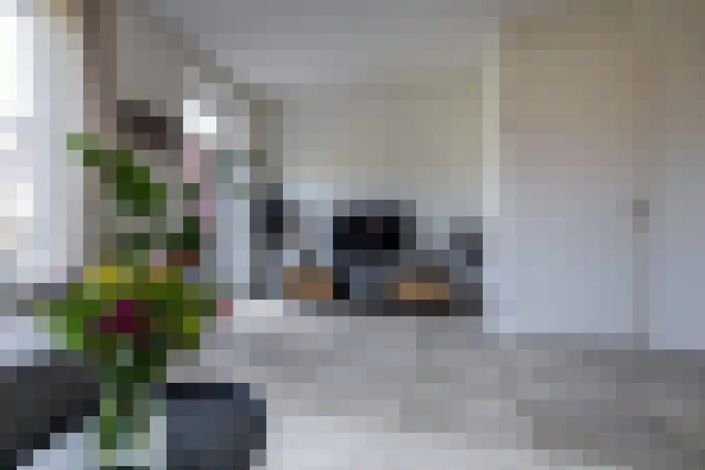 Walviuslaan 4 Marum thumbnail 11