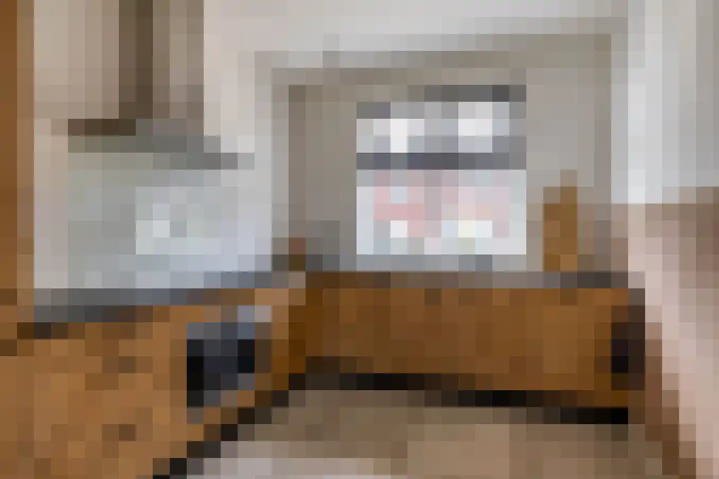 Walviuslaan 4 Marum thumbnail 14