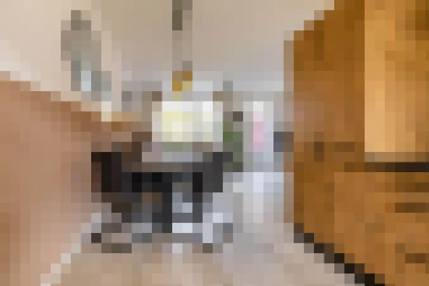 Walviuslaan 4 Marum thumbnail 17