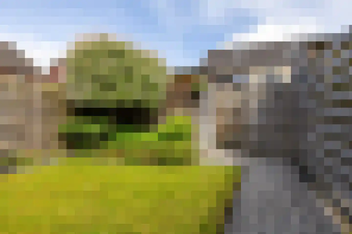 Walviuslaan 4 Marum thumbnail 35