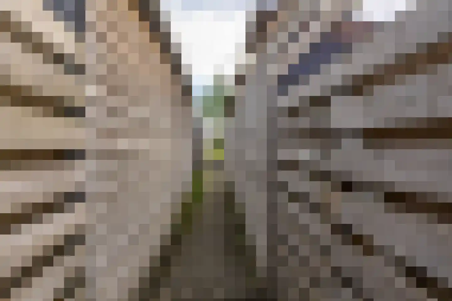 Walviuslaan 4 Marum thumbnail 38
