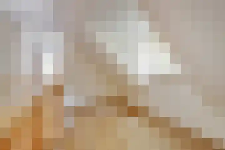Walweg 3 Haghorst thumbnail 34