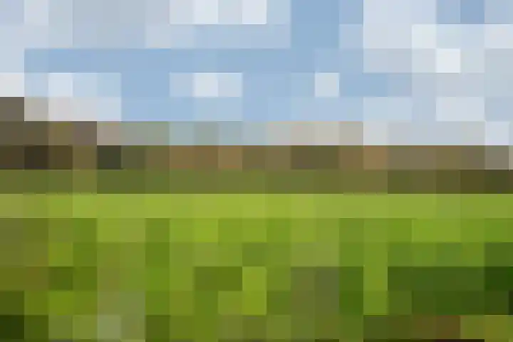 Wambacherhof 76 Tegelen thumbnail 25