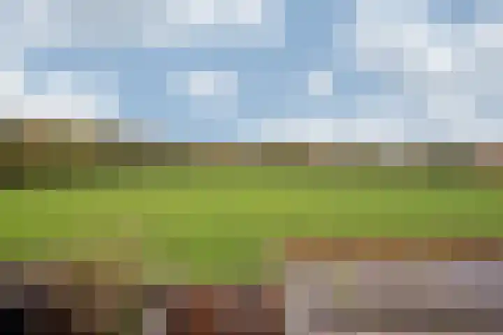 Wambacherhof 76 Tegelen thumbnail 5