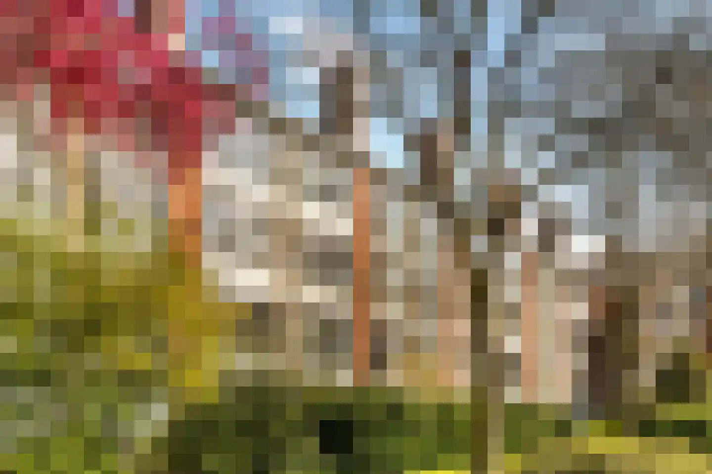 Wamberg 22 3 Amsterdam thumbnail 27