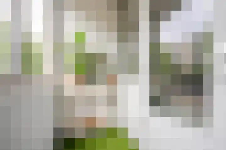 Wamberg 26 3 Amsterdam thumbnail 27