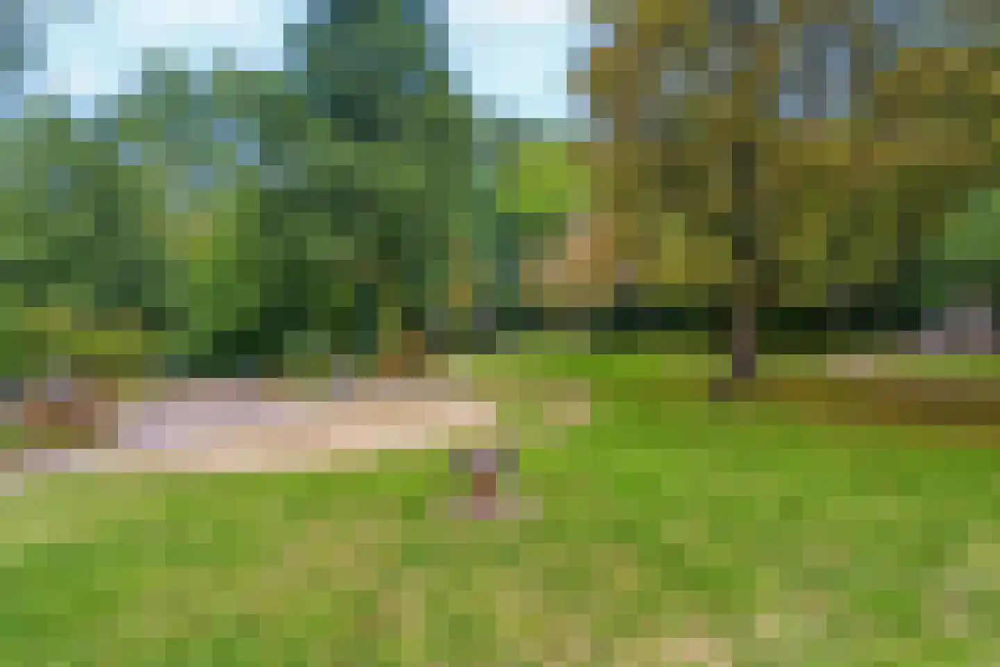 Wamberg 65 Amsterdam thumbnail 25