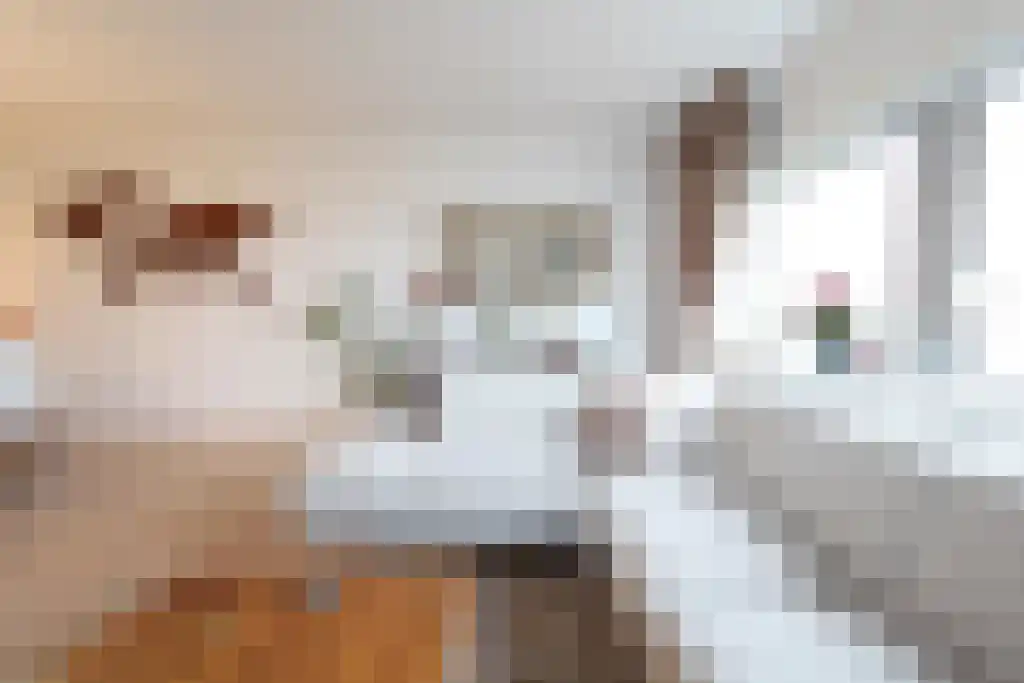 Wamberg 72 Amsterdam thumbnail 4