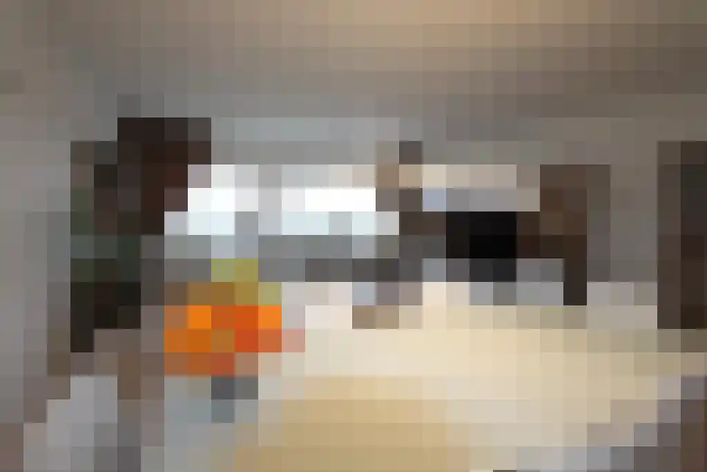 Wamberg 72 Amsterdam thumbnail 6