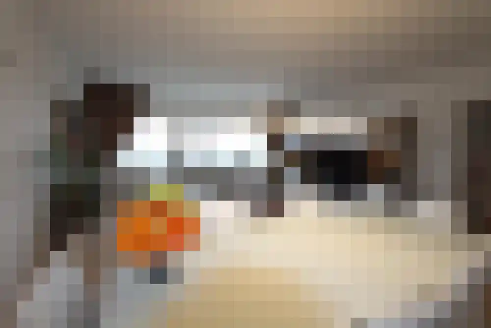 Wamberg 73 Amsterdam thumbnail 13