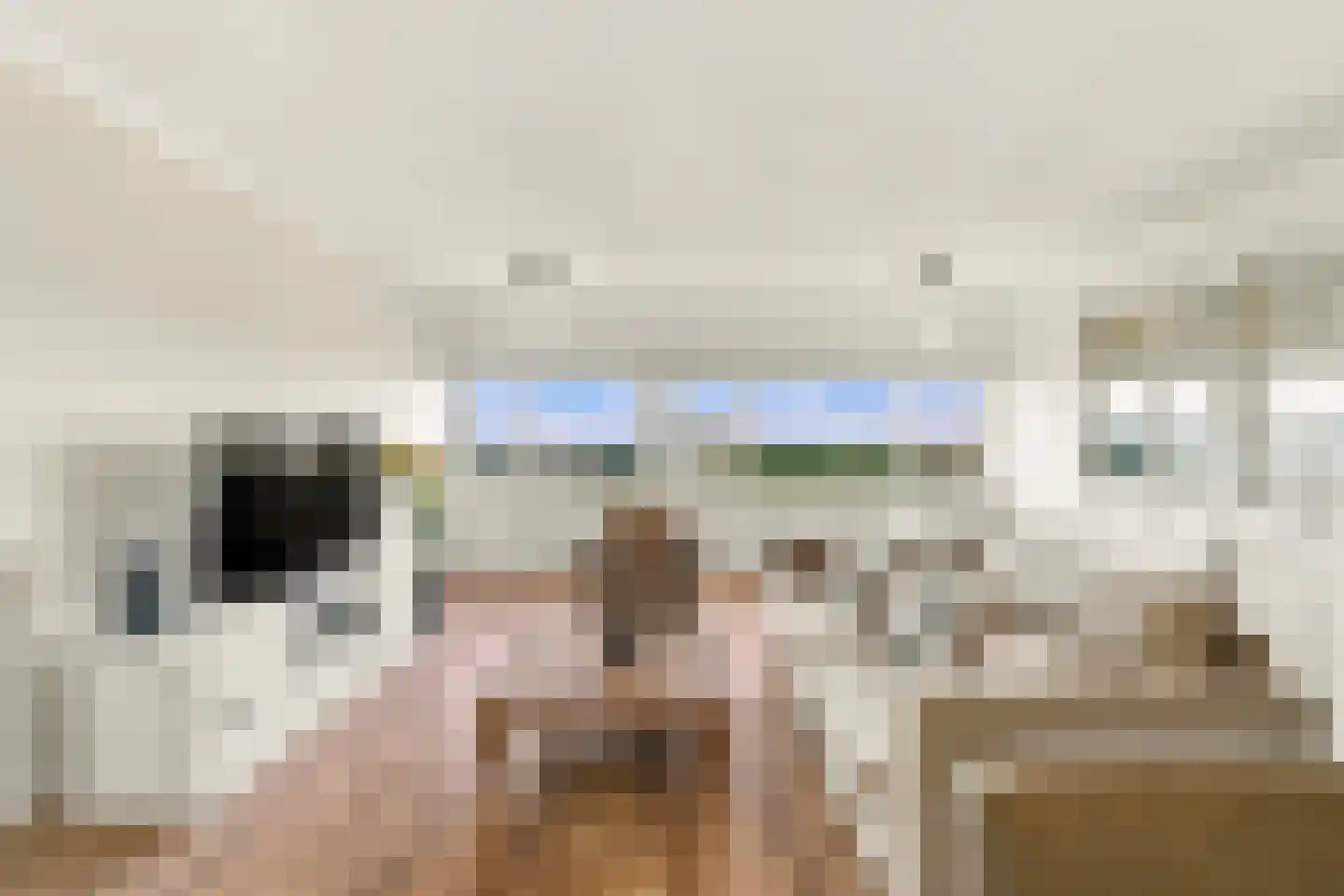 Wamberg 79 Amsterdam thumbnail 11