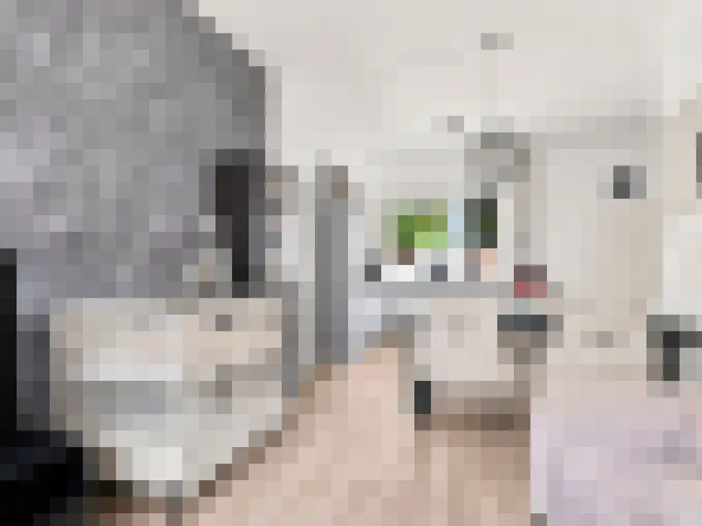 Wambuisstraat 31 Zutphen thumbnail 4