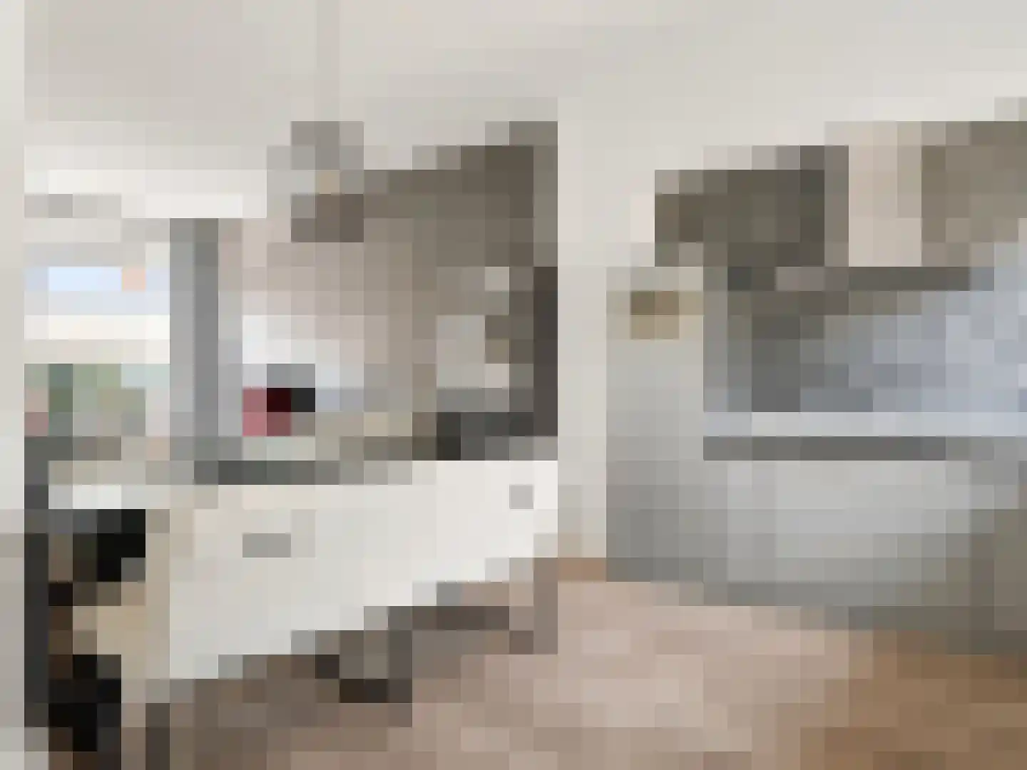 Wambuisstraat 31 Zutphen thumbnail 7