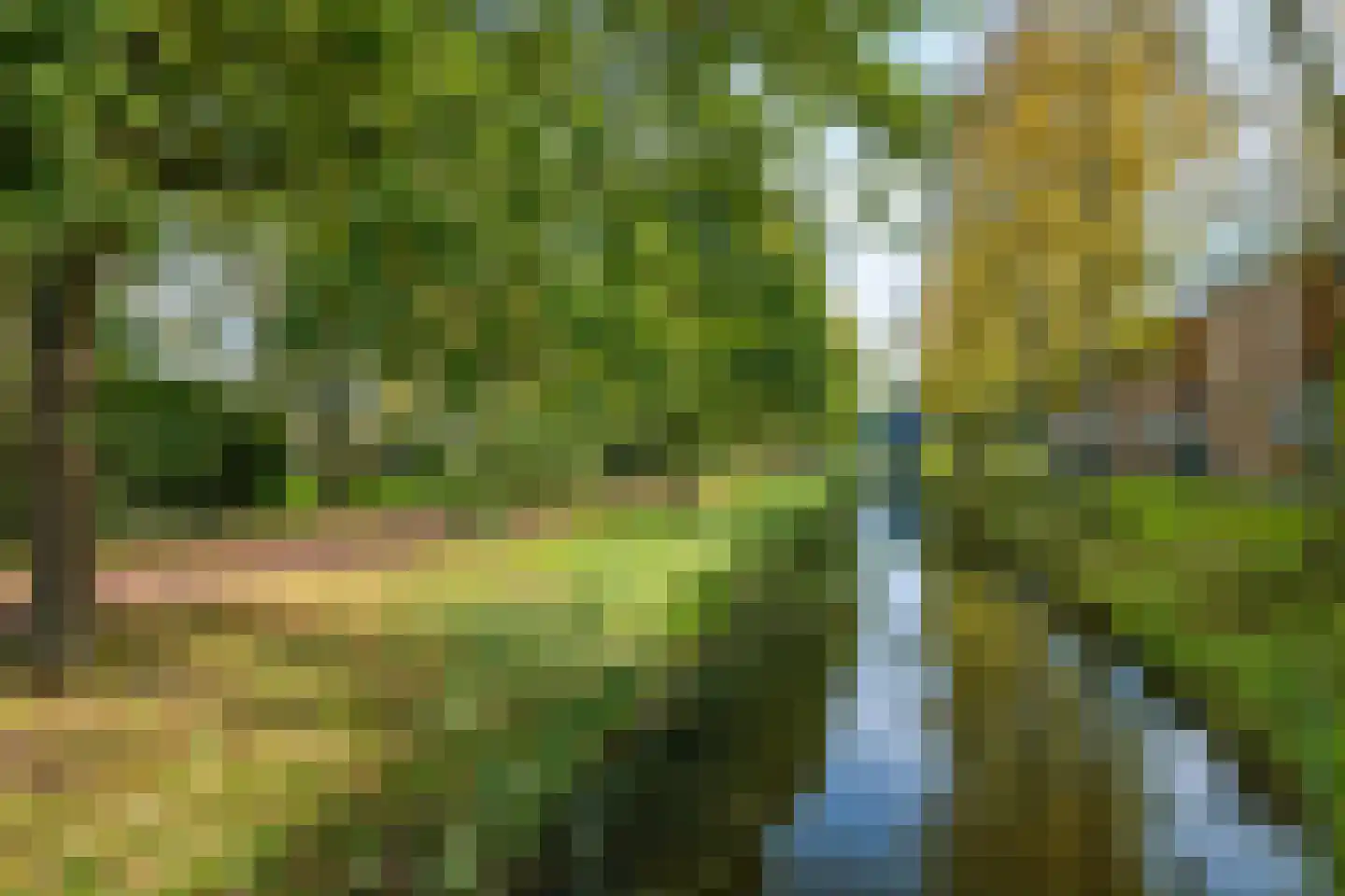 Wamelplein 132 Amsterdam thumbnail 21