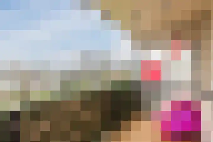 Wamelplein 138 Amsterdam thumbnail 38