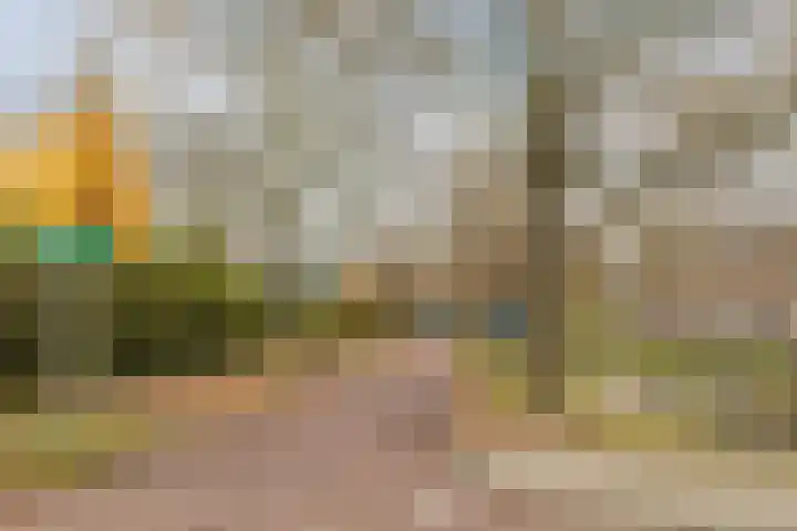 Wamelplein 138 Amsterdam thumbnail 43