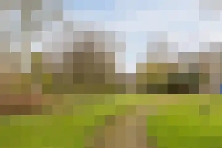 Wamelplein 138 Amsterdam thumbnail 44
