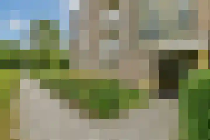 Wamelplein 154 Amsterdam thumbnail 13