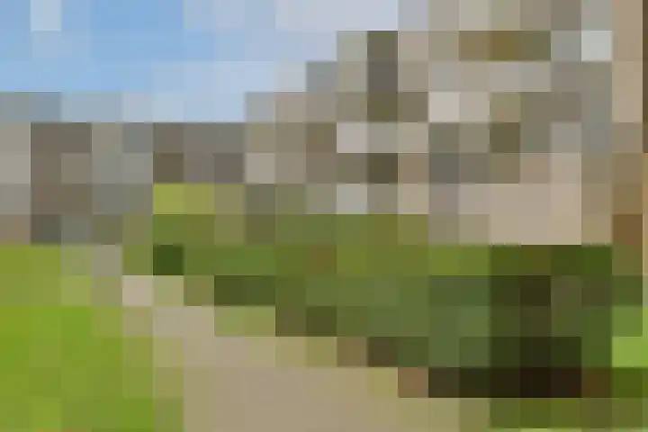 Wamelplein 154 Amsterdam thumbnail 15