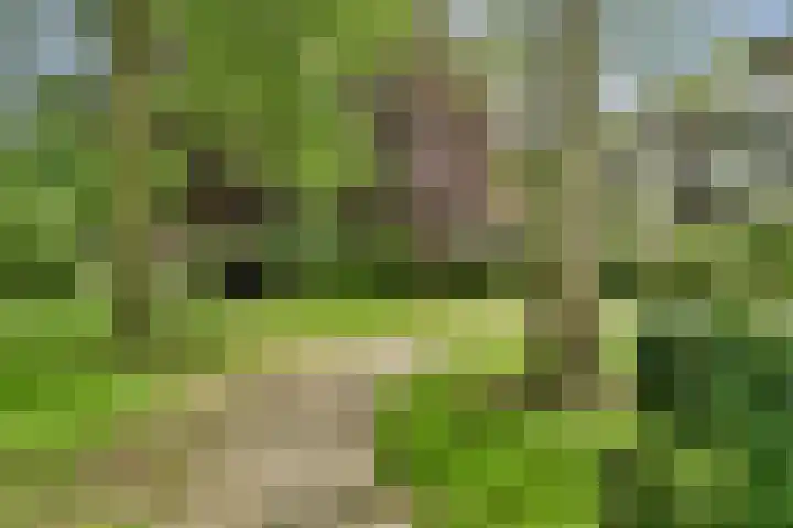 Wamelplein 154 Amsterdam thumbnail 16