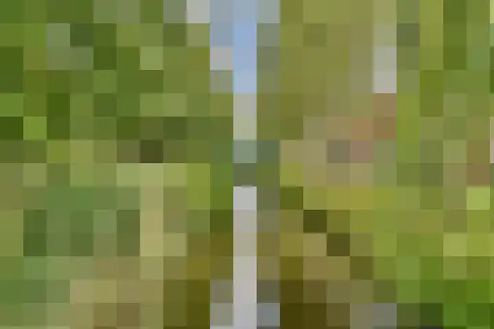 Wamelplein 154 Amsterdam thumbnail 17