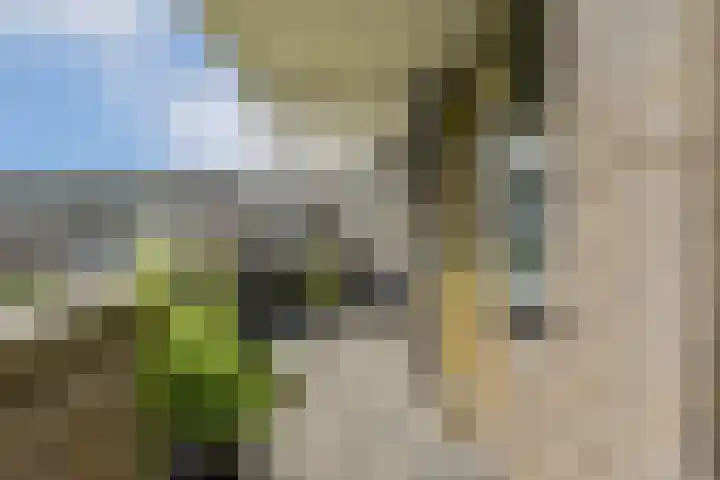 Wamelplein 154 Amsterdam thumbnail 7