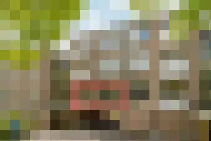 Wamelplein 169 Amsterdam thumbnail 23