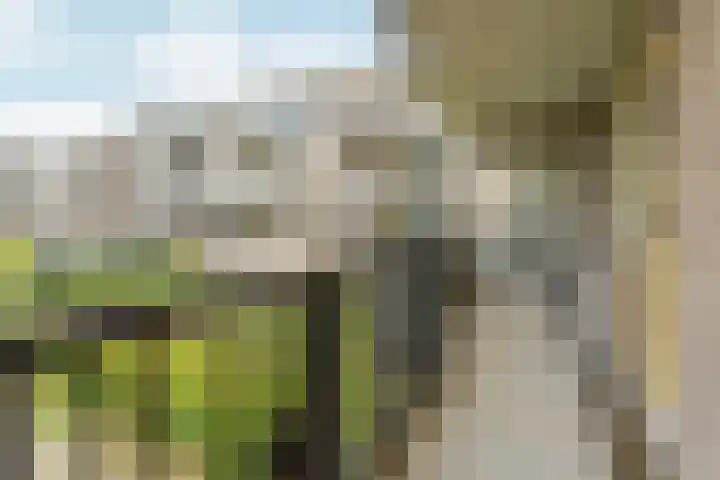 Wamelplein 169 Amsterdam thumbnail 9