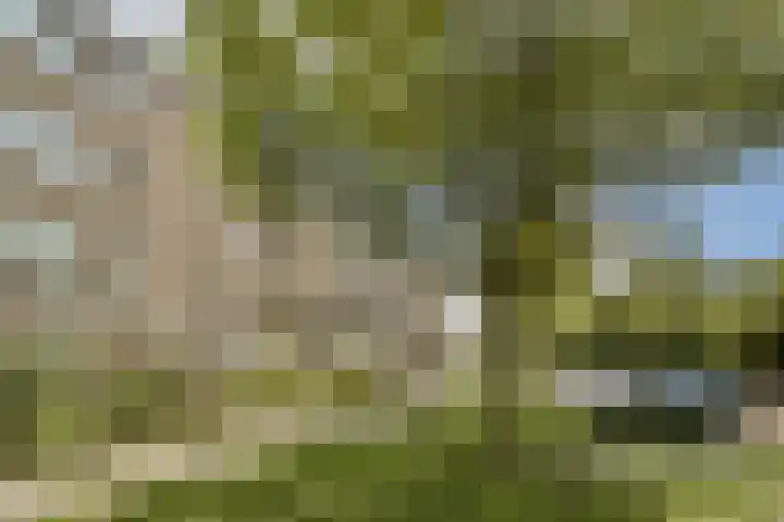 Wamelplein 173 Amsterdam thumbnail 14