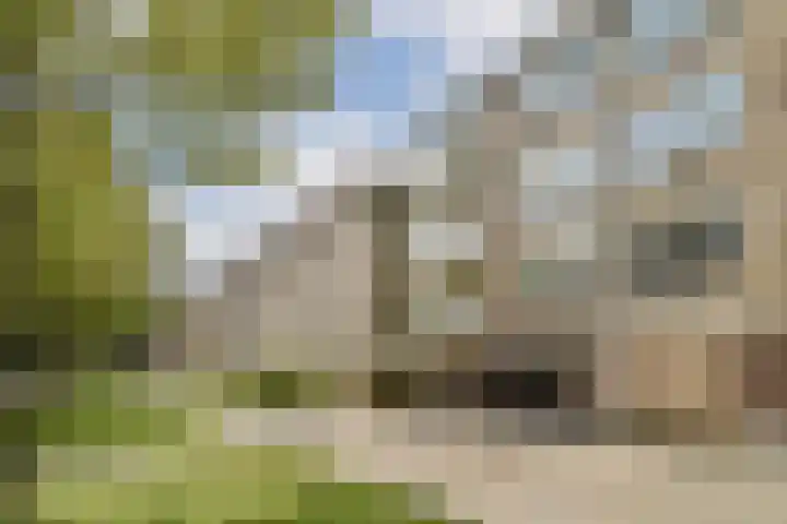 Wamelplein 173 Amsterdam thumbnail 15
