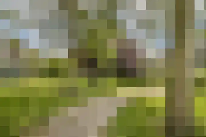 Wamelplein 173 Amsterdam thumbnail 17