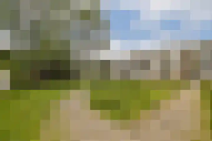 Wamelplein 173 Amsterdam thumbnail 19