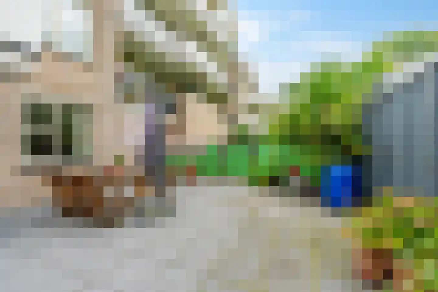 Wamelplein 180 Amsterdam thumbnail 11