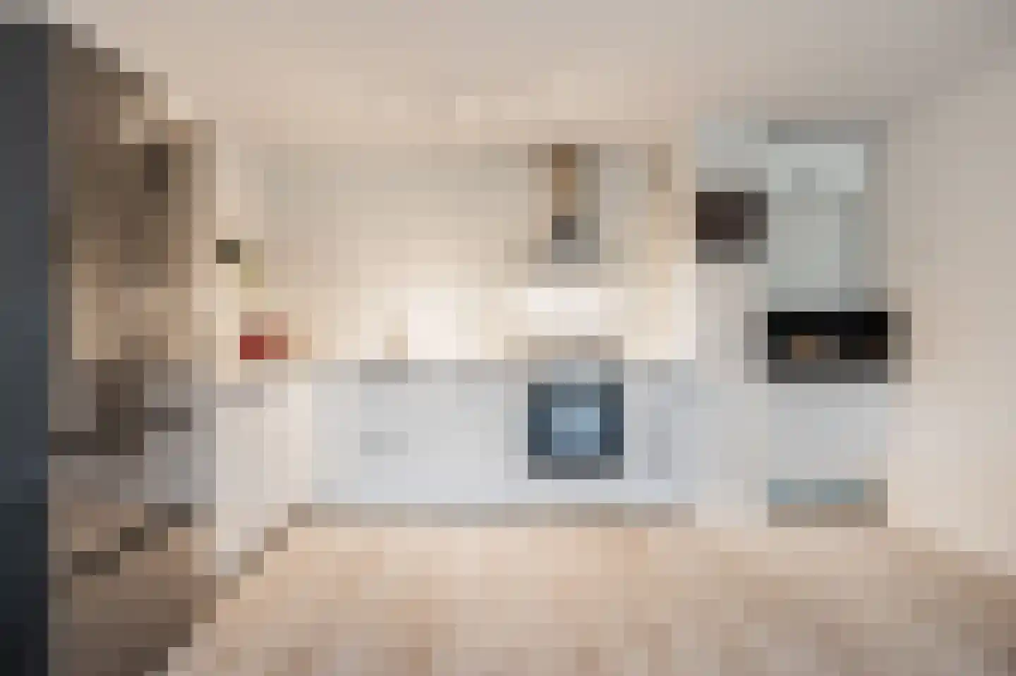 Wamelplein 180 Amsterdam thumbnail 15