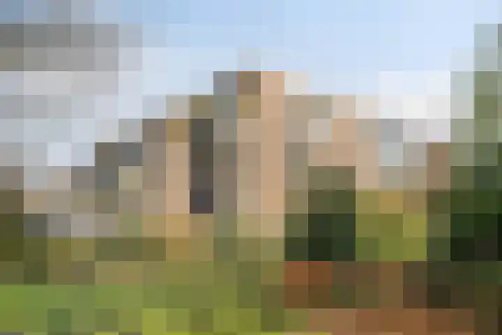 Wamelplein 194 Amsterdam thumbnail 37