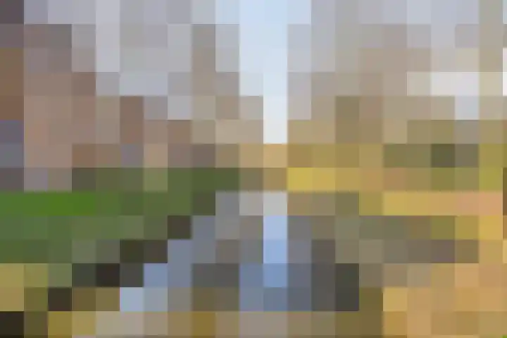 Wamelplein 194 Amsterdam thumbnail 40