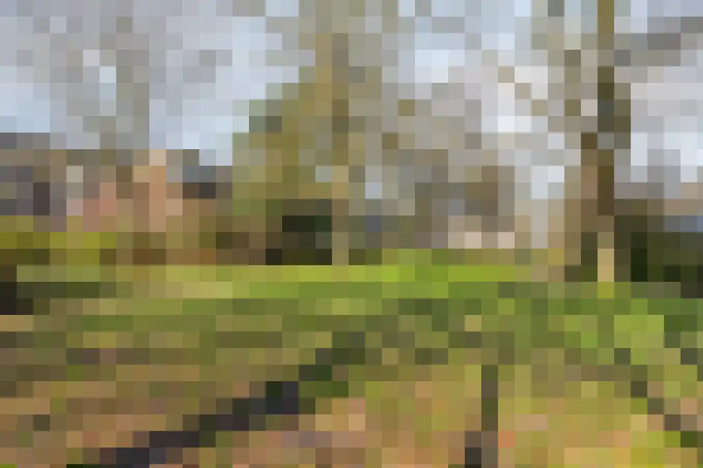 Wamelplein 194 Amsterdam thumbnail 41