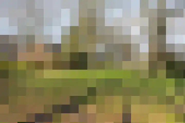 Wamelplein 194 Amsterdam thumbnail 41