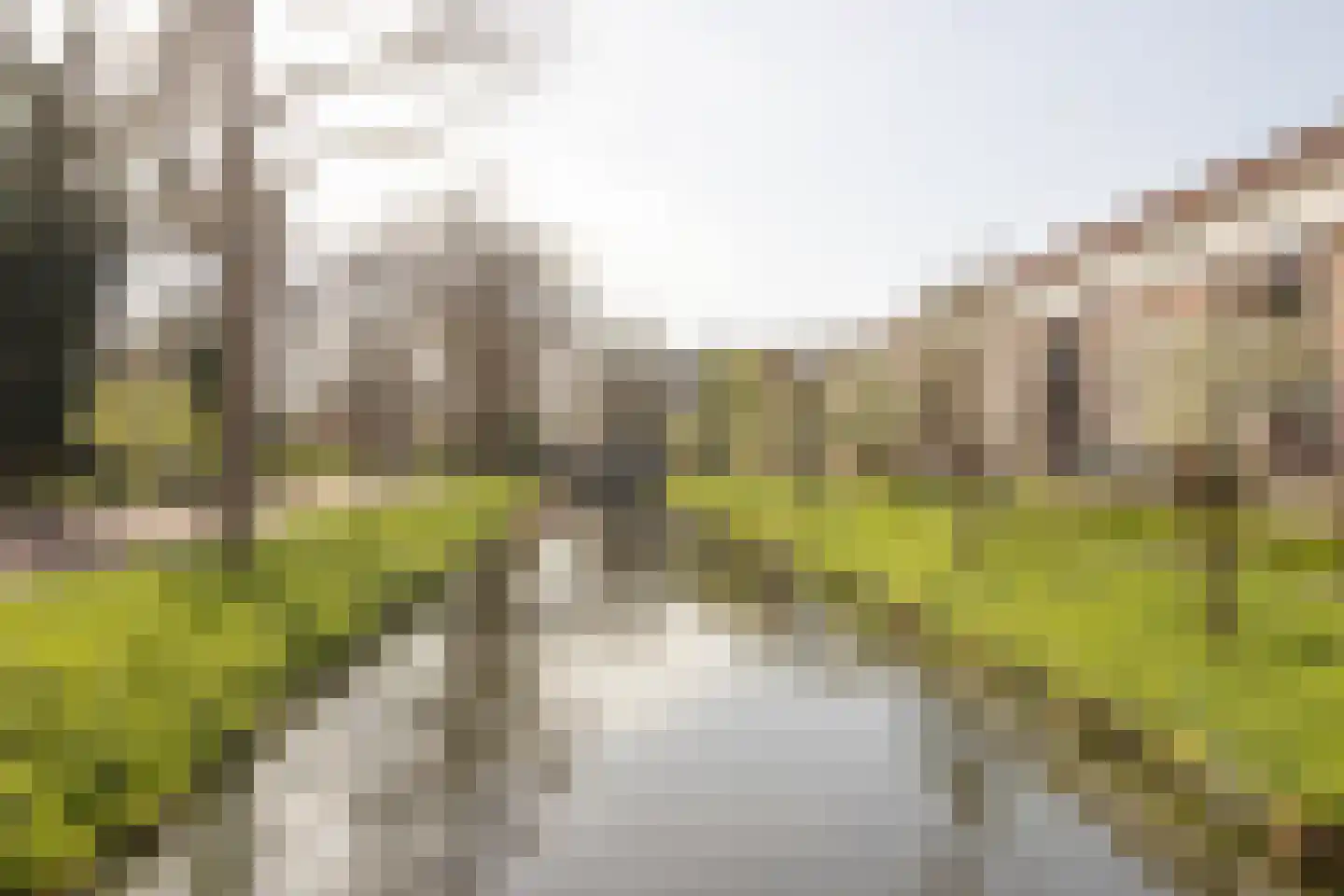 Wamelplein 52 Amsterdam thumbnail 28
