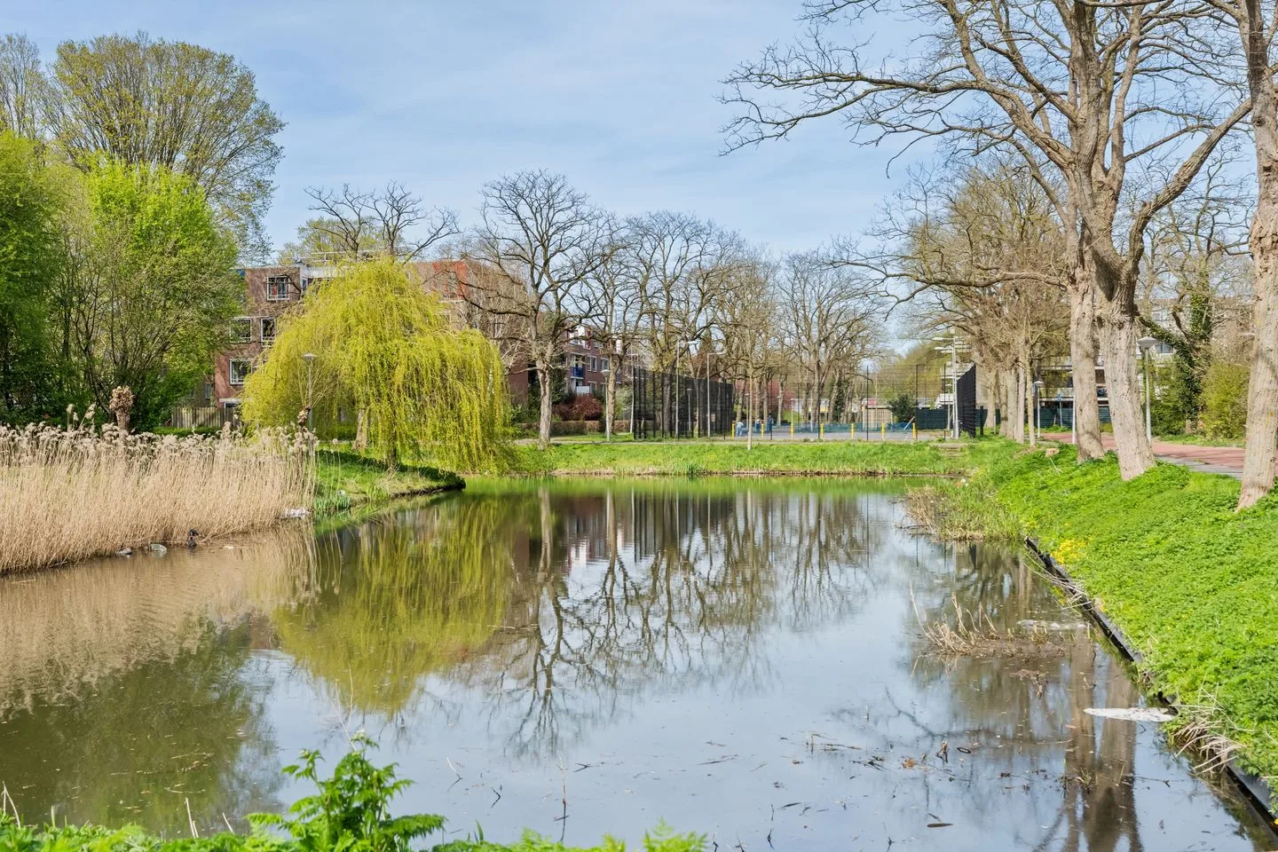 Wamelplein 56 Amsterdam thumbnail 23