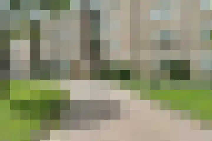 Wamelplein 67 Amsterdam thumbnail 23