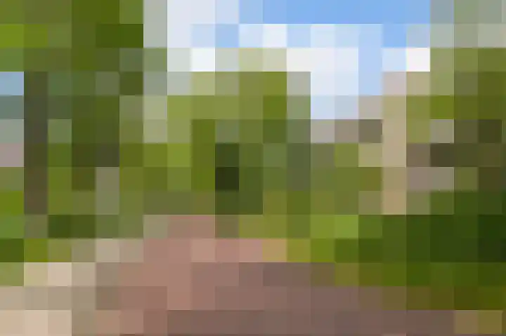 Wamelplein 78 Amsterdam thumbnail 20