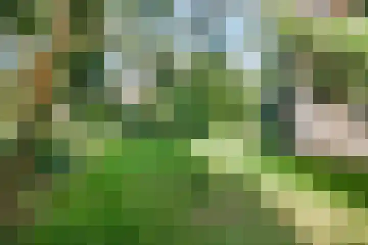 Wamelplein 80 Amsterdam thumbnail 17