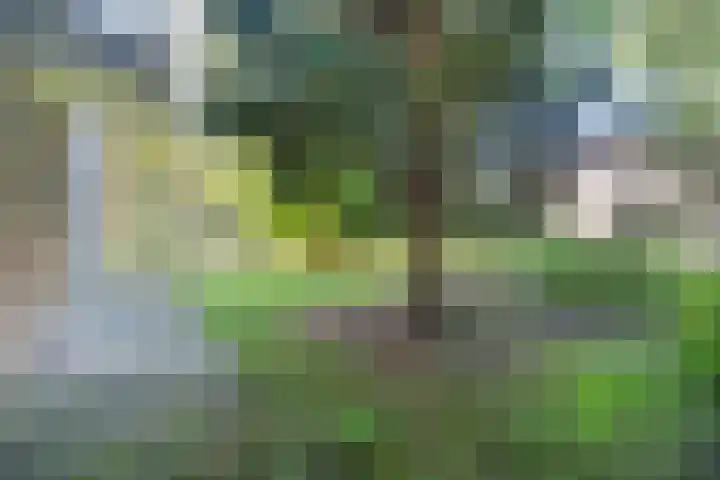 Wamelplein 80 Amsterdam thumbnail 19